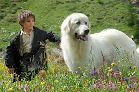 Sébastien finds the dog, gives the name of belle to her and they become friends. G D Is Kidding Shown With Belle Et Sebastien Asia Society
