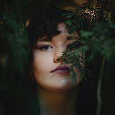 Matthew Shultz Studios