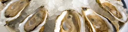Image result for Amnesic Shellfish Poisoning