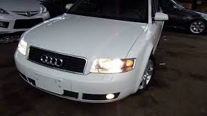 Image result for Arctic White 2004 A4