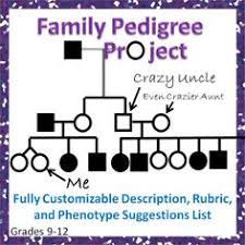 #pedigree review worksheet answers #simple pedigree worksheet #human reproduction worksheet answer key #worksheets with answer keys free #genetic code worksheet answer key #pedigree worksheet 2. Honors Biology Pedigree Worksheet Answers