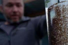 First milestone in unique giant kelp restoration project in Tasma