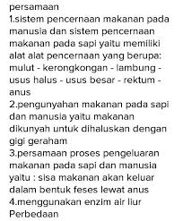 Sebutkan 6 Perbedaan Dan Persamaan Proses Pegunyahan Makanan Antara Manusia Dengan Sapi Brainly Co Id