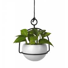 These pots fit plants from 14cm to 16cm. Umbra Nesta Planter Ceramic Desk Hanging Planter Black By Design