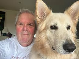 My name is Bernie and this is Super Maxi 45 kg blonde German Shepherd my  best buddy