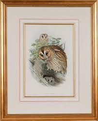 John Gould and Henry Constantine Richter