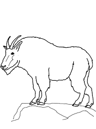 Check spelling or type a new query. Coloring Goat Drawing For Kids Novocom Top