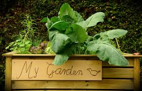 Liebe gartenbesucher eine große zahl der teilnehmer öffneten trotz aller widrigkeiten ihren garten für all die vielen gartenbegeisterten besucher. Tag Der Offenen Garten Bundjugend Schleswig Holstein