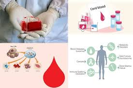 How long can cord blood be stored for? What Is Cord Blood How Does Cord Blood Banking Work Why Bank Cord Blood By Graballnews Medium