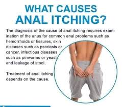 Image result for itchy skin rectum
