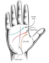 How to read palms lines. The Four Major Lines Be Your Own Palm Reader Ryland Peters Small Rylandpeters