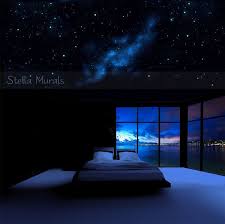 Orion Glow In The Dark Star Ceiling Canopy Starlight Bedroom Decor Optional Realistic Star Stickers Star Ceiling Bright Rooms Ceiling Canopy
