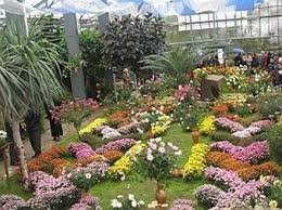 Date esentiale despre gradina botanica. Gradina Botanica Bucuresti Muntenia Informatii Si Galerie Imagini Hoteluri In Apropiere