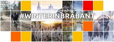 Besides news and informative programming it offers also cultural. Omroep Brabant Inicio Facebook