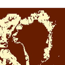 Image result for Ctenium newtonii