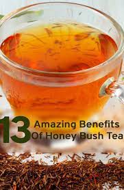 Ingredients Honeybush Tea Honeybush Tea Health Benefits