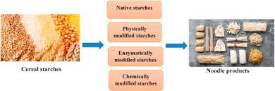 Review On The Physicochemical Properties Modifications And Applications Of Starches And Its Common Modified Forms Used In Noodle Products Sciencedirect