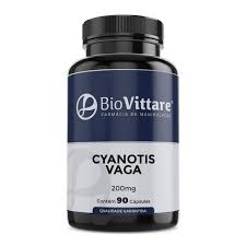 Image result for Cyanotis vaga