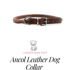 ancol leather dog collar review luxury dog gift ancol leather dog collar review