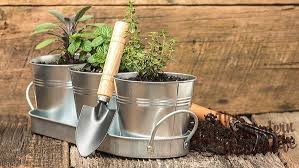 How to create a herb garden. Create A Giftable Indoor Herb Garden Kit