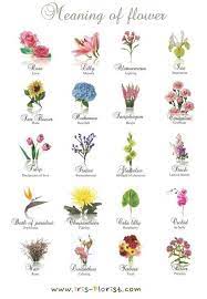 They remind us gently to let go of the bygones and enjoy the present times. Floral Tattoo With Names Tattoideas Birth Flower Tattoos Flower Tattoo Meanings Flower Meanings