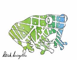 After you finish your amphibian drawing why not color it in like this! How To Draw Amphibians Step By Step Easy Animals 2 Draw