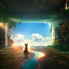 Download A Lonely Dog 2560 X 1440 Live Wallpaper Engine Free Fascinating Live Wallpaper For Pc Fro Scenery Wallpaper Live Wallpapers Free Live Wallpapers
