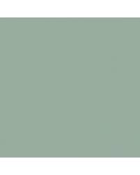 Image result for Silver Fern 1971 GM