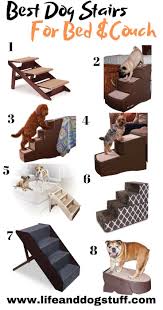 8 Beste Hund Schritte Und Treppe Fur Bett Rezension Leben Und Hund Bestellung Dog Steps Dog Stairs For Bed Best Dogs