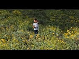 Maybe you would like to learn more about one of these? Poppy Flower Field Bloom Hike 2017 In Lake Elsinore California Walker Canyon Youtube