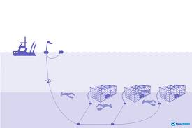 Havahart® animal traps are highly effective and easy to use, even for the most inexperienced homeowners. Fishing Gear Traps And Pots Noaa Fisheries