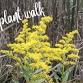 November Plant Walks in Roger Williams Park