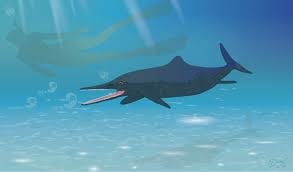 Come see the complete skull on display for the … New Species Of Ichthyosaur Discovered Tech Explorist