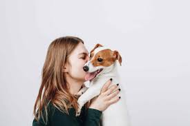 The girls are usually very funny, but it is important to find something soft and sweet as well. Are Jack Russell S Aggressive The Truth And Tips