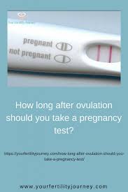 Pregnancy test sensitivity will be your next consideration. How Long After Ovulation Should You Take A Pregnancy Test