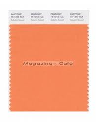 Pantone Smart 16 1343 Tcx Color Swatch Card Autumn Sunset Pantone Color Swatch Soft Autumn Color Palette