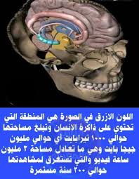 pin by lulu somo on هل تعلم in 2021 facts nurse islam