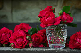 Say it with flowers book. Say It With Roses Folklore Of The Queen Of All Flowers Icy Sedgwick