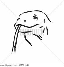 Draw the upper jaw and the long tongue that sticks out. Hand Drawn Sketch Vector Photo Free Trial Bigstock