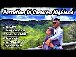 Setelah melihat video cameron highlands ini pasti anda teruja untuk melancong bukan? Percutian Ke Cameron Highland Tempat Menarik Di Cameron Highland Youtube