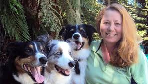 Maybe you would like to learn more about one of these? About Me Ok K9s Dog Training