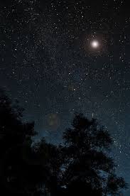 Browse our website for the perfect gift set to be sent to your loved one. Day 710 Another Star In The Sky Star Sky Sky Sky Full Of Stars