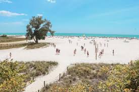 Things To Do In Siesta Key