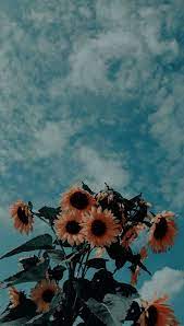 Gadgets Deals Gadgets Meaning Telugu Sunflower Wallpaper Aesthetic Iphone Wallpaper Beautiful Summer Wallpaper