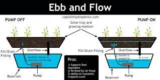 Ebb And Flow Hydroponic System Visual Ly