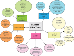 Image result for Platelet Dysfunction