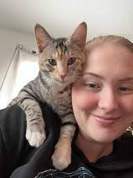 Lost pet in North Texas