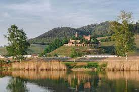 In 20 jahren ist viel passiert. Offenburg Ortenau Schwarzwald Tourismus Gmbh