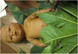 Do not turn your back, even for a second. Skin Thermal And Umbilical Cord Care Practices For Neonates In Southern Rural Zambia A Qualitative Study Bmc Pregnancy And Childbirth Full Text