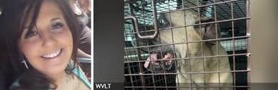 2021 Fatal Dog Attack Breed Identification Photographs